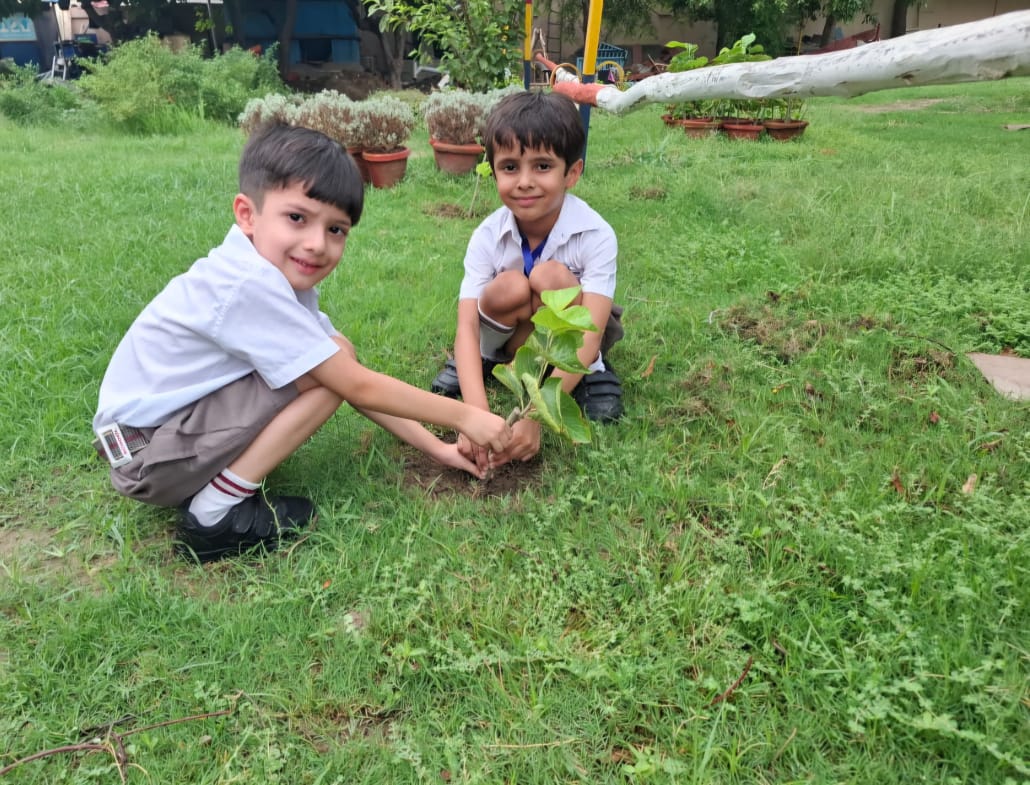 Earth First: Growing Hope with Every Step